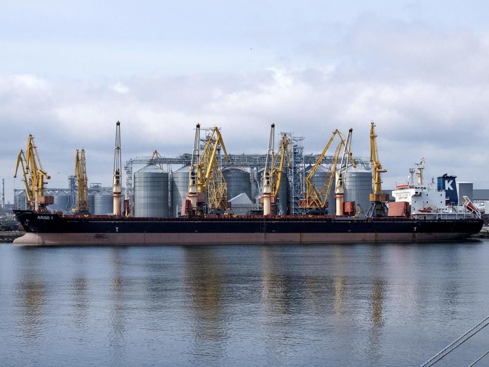 Bulk carrier ARGO I is docked at the grain terminal of the port of Odesa on April 10.