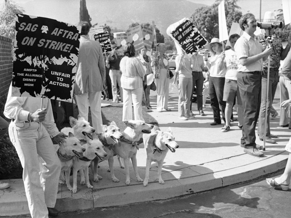 Dogs trained for movie roles get ready to march in a SAG picket line around Disney Studios in Los Angeles on Aug. 21, 1980.