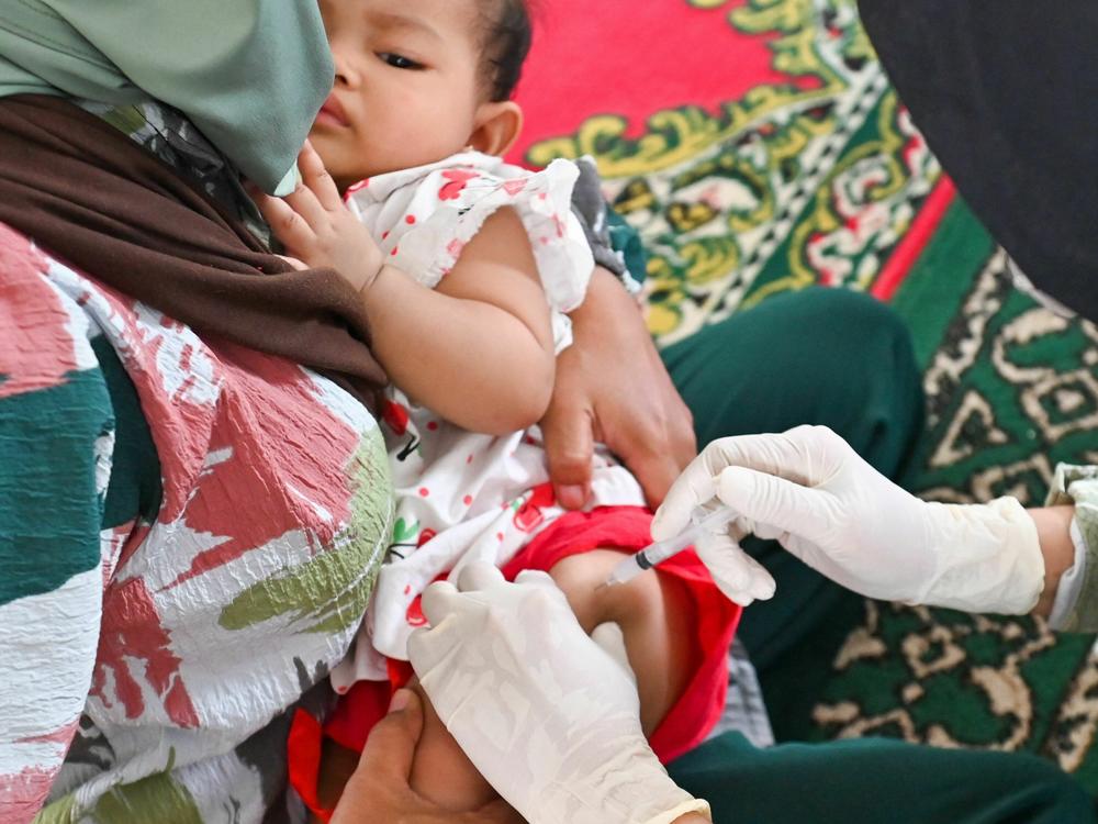 A baby receives the DPT vaccine, that can prevent diphtheria, pertussis, and tetanus, as part of a monthly check-up medical program for children at an integrated services post in Banda Aceh on June 8, 2023.
