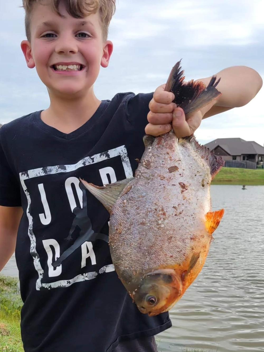 Charlie Clinton, 11, holds the pacu he caught. Game wardens believe the fish was a pet that outgrew its tank and was released into the wild.