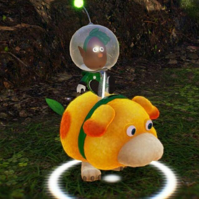 Pikmin 4 lets you choose your skin tone, body type, hair, facial features and gender presentation.
