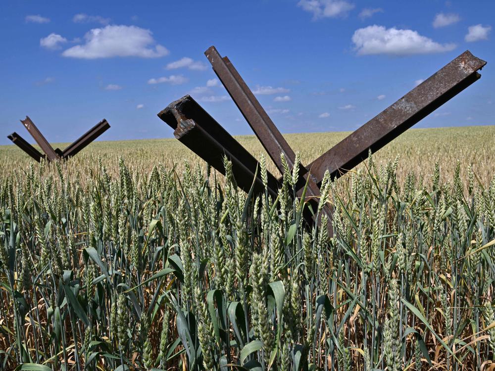 Anti-tank obstacles on a wheat field at a farm in southern Ukraine's Mykolaiv region. The country's grain exports were curtailed this week when Russia pulled out of a deal that allowed grain-laden ships to sail out of Ukrainian ports.