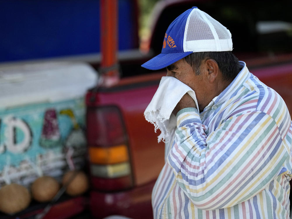 Andres Matamoros wipes the sweat from his face while selling fresh fruit and cold coconuts from his roadside stand on June 28, 2023, in Houston. Nearly 400 daily maximum temperature records fell in the South in June and the first half of July, most of them in Texas.