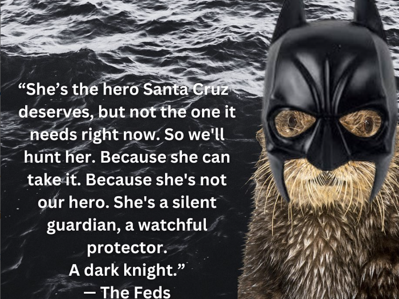 Otter 841's antics have garnered international attention and generated memes in support of the otter's freedom. This meme from @thesurfingottter on Instagram is a parody of Batman from Christopher Nolan's 2008 film <em>The Dark Knight.</em>