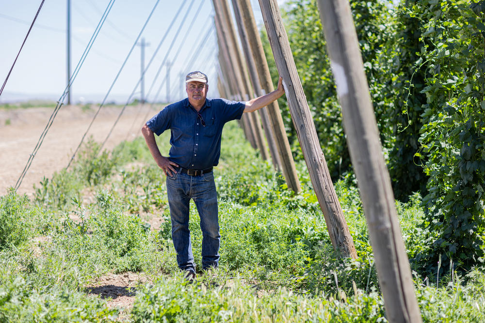 Farm owner and researcher Alan Schreiber stands at his research station in Toppenish, Wash., on June 14.