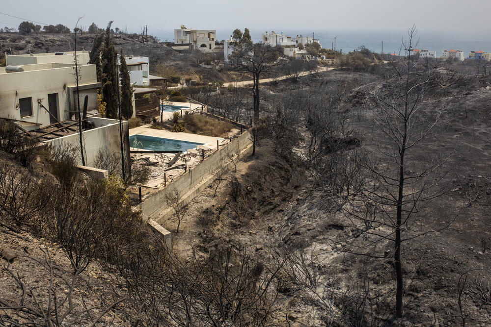 July 24, 2023: Burnt trees are seen next to a hotel near the village of Kiotari. Forest fires rage in Rhodes and other parts of Greece.