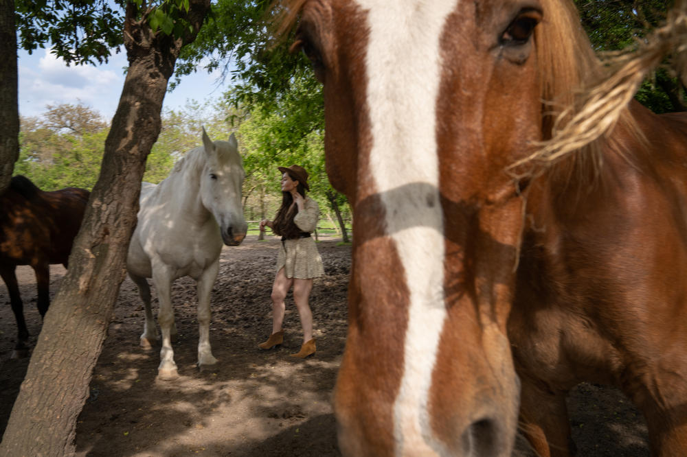 A visitor approaches some of the horses at the farm on Khortytsia to take a photo.