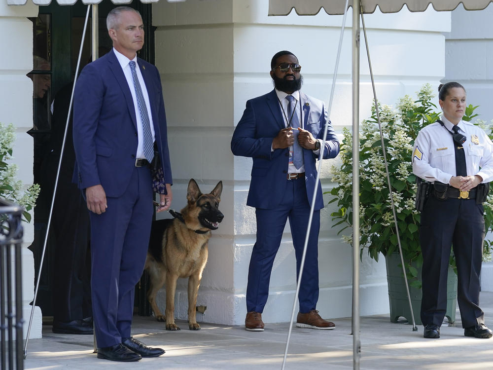 Commander watches from the doorway of the White House as the Bidens board the Marine One helicopter on June 25, 2022.