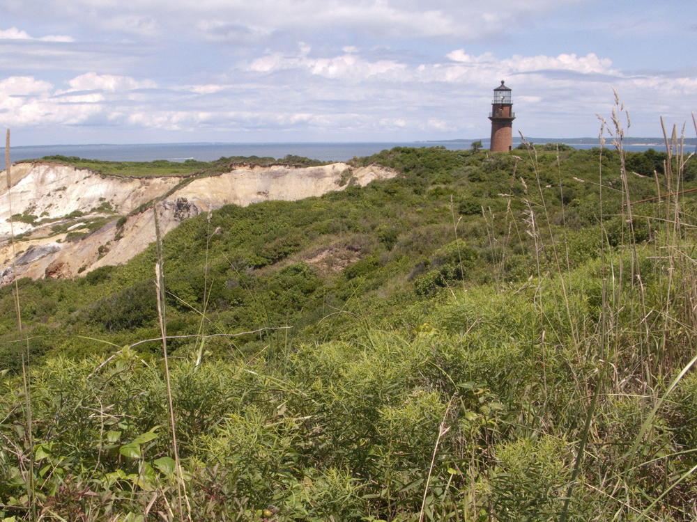 The Gay Head lighthouse rises above the cliffs on Martha's Vineyard, Mass., in 2010. The body of Tafari Campbell, a personal chef to the Obamas, was recently recovered in nearby Edgartown Great Pond.