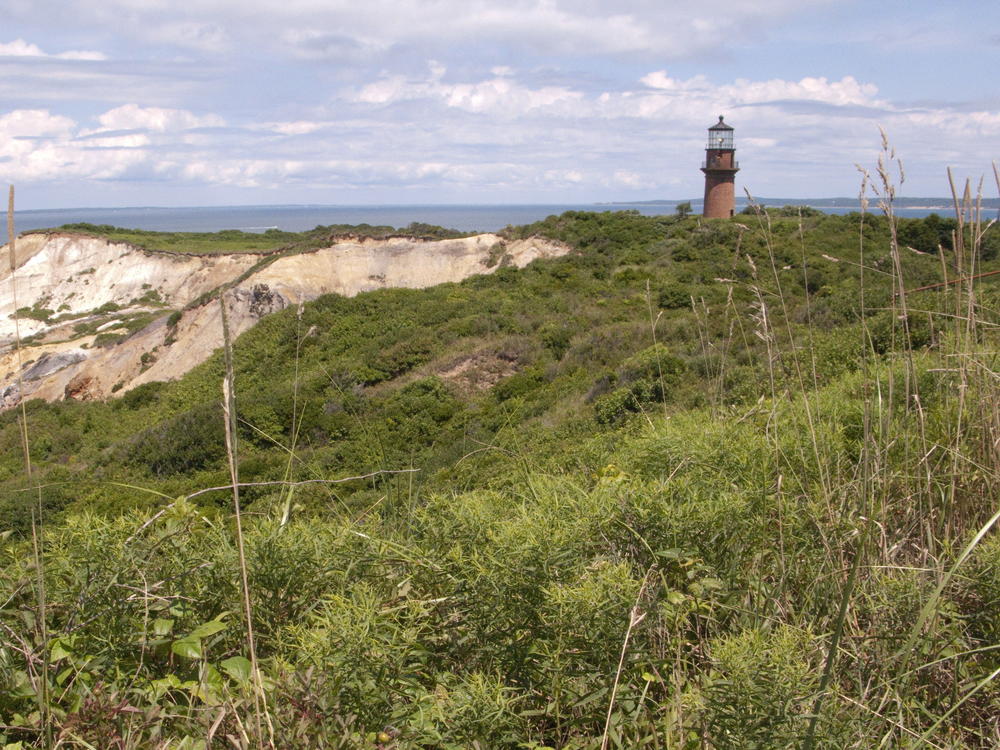 The Gay Head lighthouse rises above the cliffs on Martha's Vineyard, Mass., in 2010. The body of Tafari Campbell, a personal chef to the Obamas, was recently recovered in nearby Edgartown Great Pond.