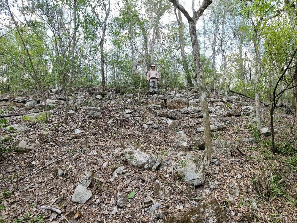 A researcher stands upon the remains of what archaeologists believe was an acropolis-type structure in the Maya city of Ocomtun.