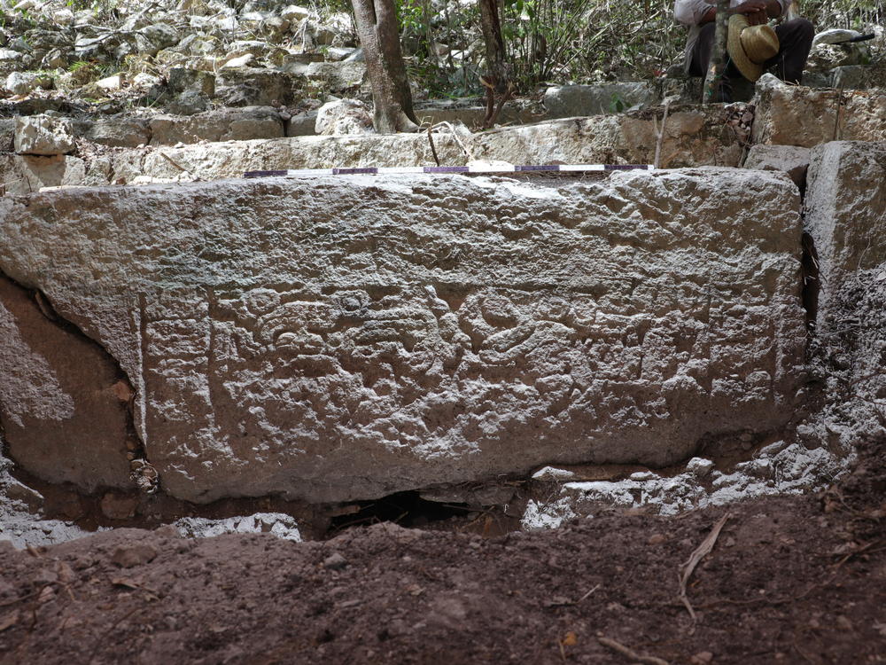 A relief carved on a block in a stairway, one of the many exciting artifacts uncovered at Ocomtun in May.