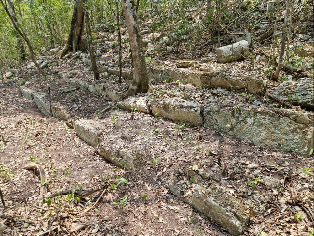 The remains of a staircase still visible in the heart of Campeche's jungles, one of the vestiges of Ocomtun.
