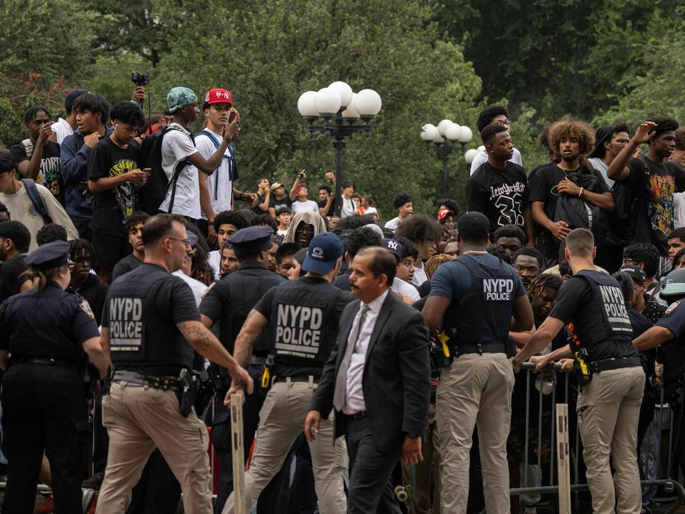 Police try to control the crowd.