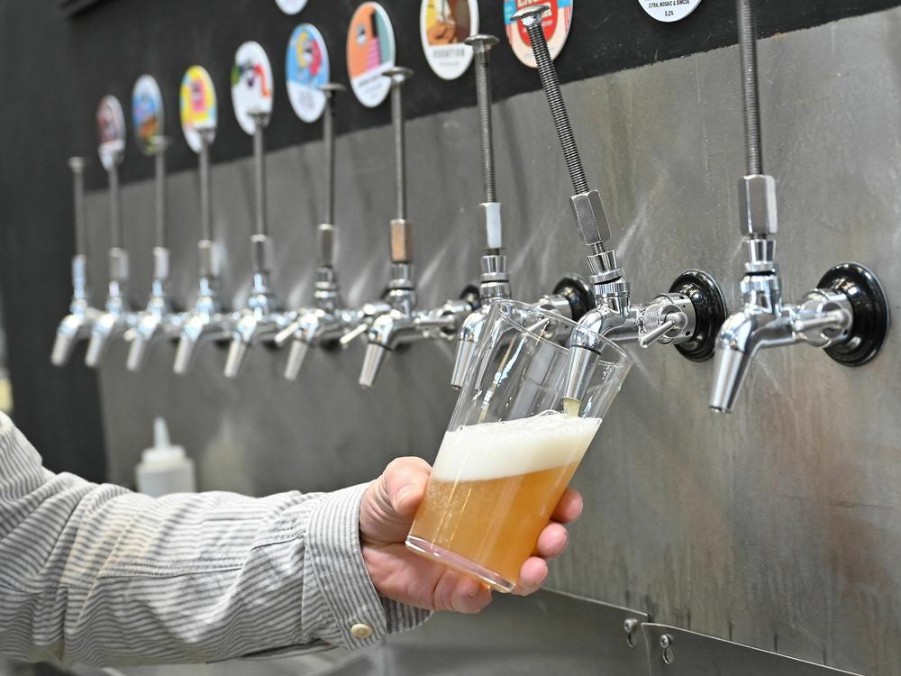 A pint of beer is poured at Pressure Drop Brewery, in north London, in 2022.