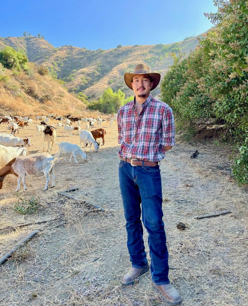 Michael Choi, 30, has taken over the family business. After the drought-busting rains of last winter, he said he's had to buy hundreds of new goats to keep up with the demand of jobs.