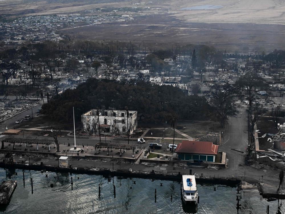 An aerial view shows the historic banyan tree, along with destroyed homes, boats and buildings in the historic Lahaina town in the aftermath of wildfires in western Maui on Thursday.
