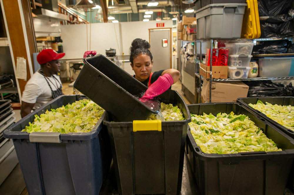 Patrice Cunningham pours brine into tubs of chopped cabbage. The salty solution helps the natural fermentation process by drawing water out of the cabbage leaves. As it sits, the leaves shrink and settle, releasing more food for the microbes.