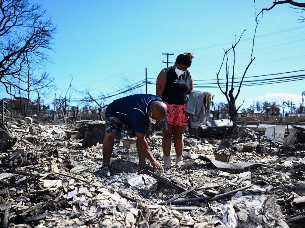 Davilynn Severson and Hano Ganer look for belongings through the ashes of their family's home on Friday in the aftermath of a wildfire in Lahaina, in western Maui, Hawaii.