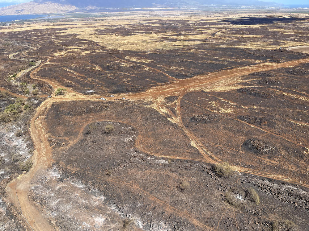 The Pulehu wildfire in Central Maui above Kihei burned mostly on Haleakala Ranch lands. A few small 