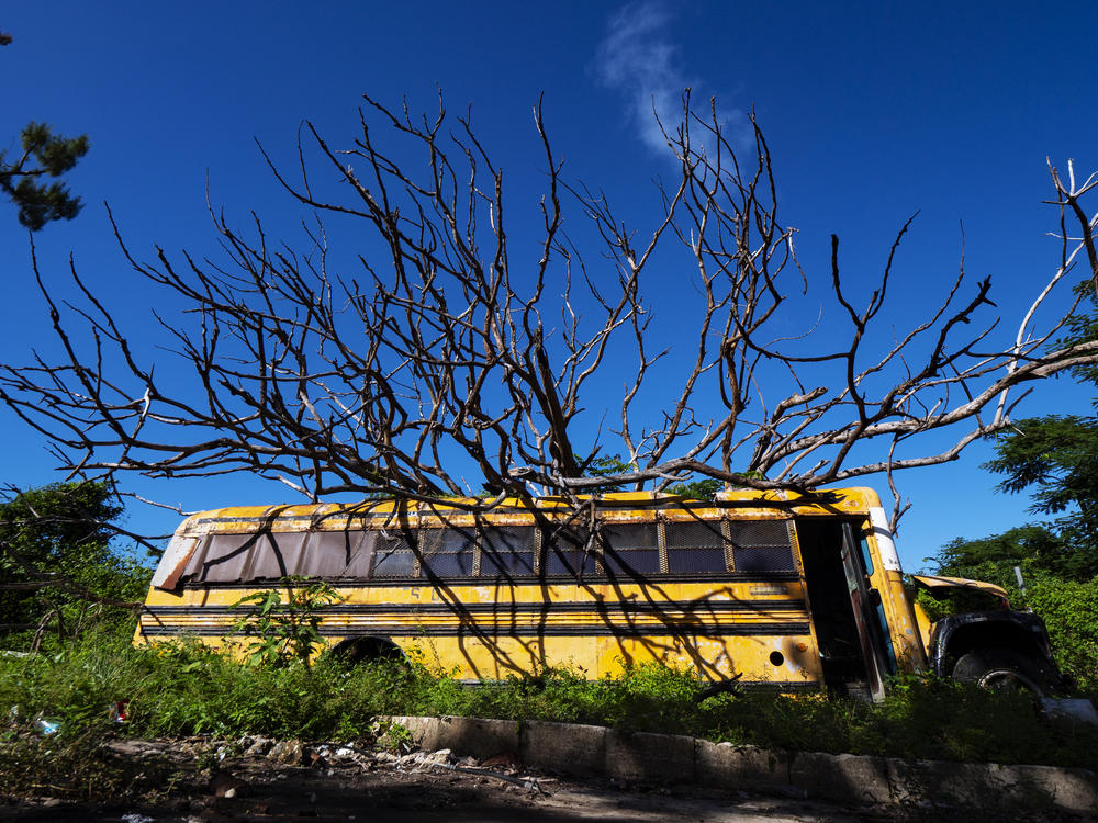 More than a year after Hurricane Maria, a school bus in the Santurce neighborhood of San Juan was still sitting under a tree that came down in the storm. Natural disasters have contributed to the decay of the island's crumbling infrastructure.