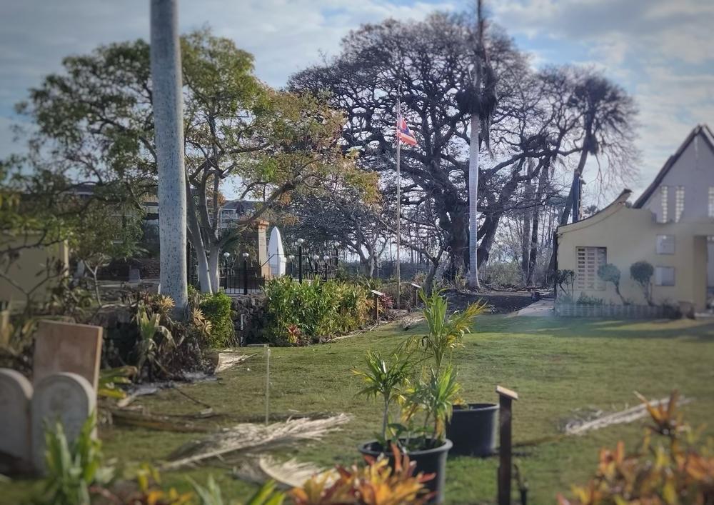 The historic Waiola (WaineÊ»e) cemetery in Lanahai after the fires destroyed the nearby Waiola church.
