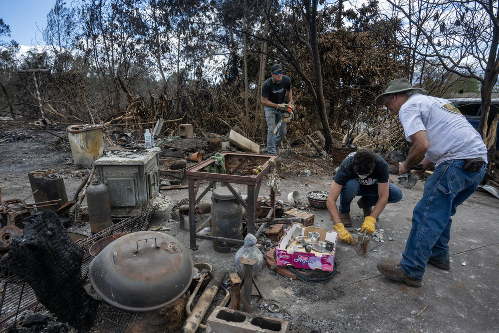Ross Hart, right, is finding keepsakes from the debris after his home was destroyed in the Upcountry Fire. He is helped by his neighbor Austin Phillips and Preston Cherry who is working the chain saw.