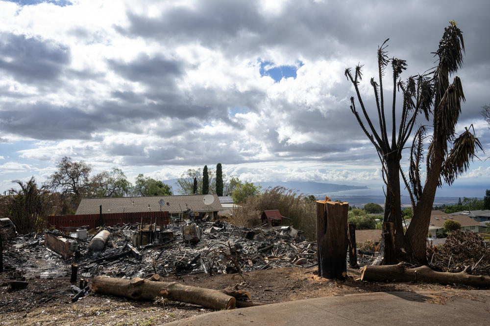 Homes were destroyed in the Upcountry Fire. The deadly wildfires in Maui, Hawaii fanned by winds from Hurricane Dora caused fires in Upcountry as well as destroying the historic city of Lahaina.