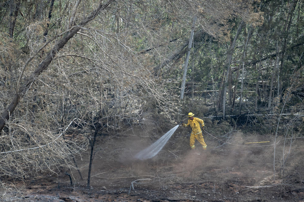 Firefighters are still battling hot spots in the Upcountry Fire. The deadly wildfires in Maui, Hawaii fanned by winds from Hurricane Dora caused fires in Upcountry as well as destroying the historic city of Lahaina.