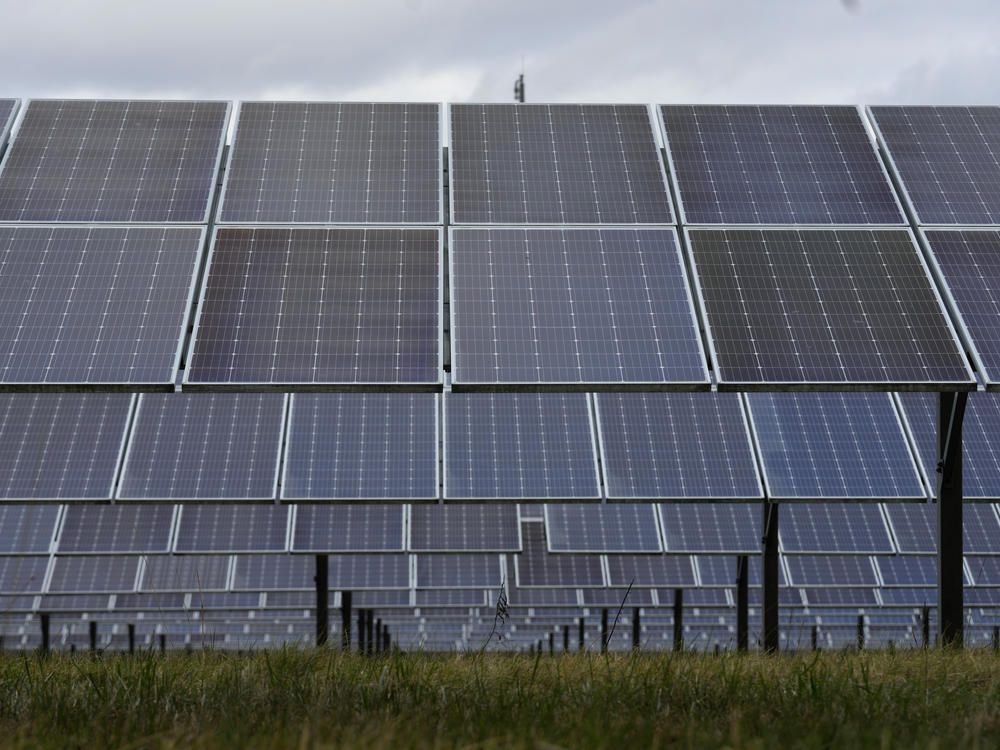 Solar panels in Detroit on Nov. 16, 2022.