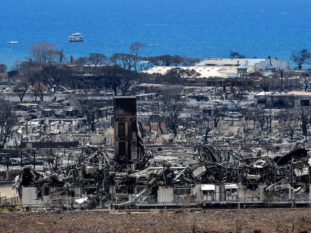 After the destruction in Lahaina, Hawaii fire expects say they're hopeful the state will take a hard look at its wildfire policies.