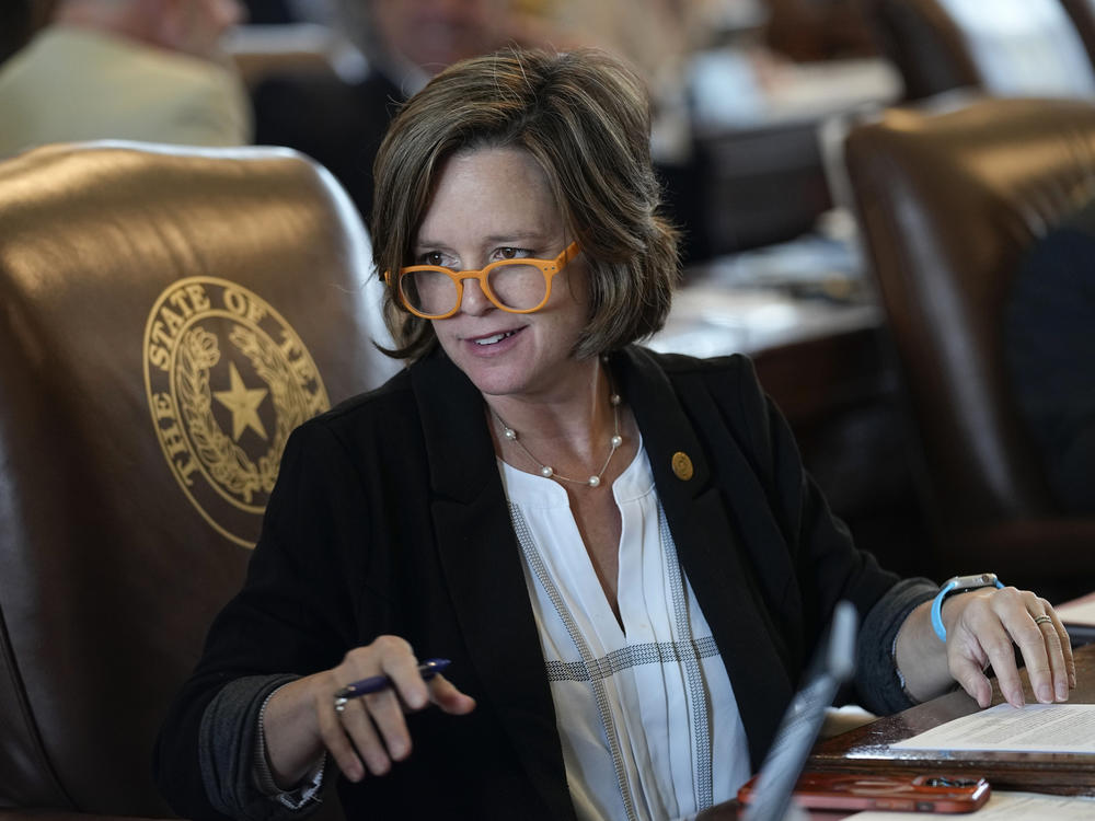 Rep. Ann Johnson, a Democrat from Houston, authored a Texas law that doctors say will be life-saving for women with two pregnancy complications. She worked across the aisle with the author of S.B. 8.
