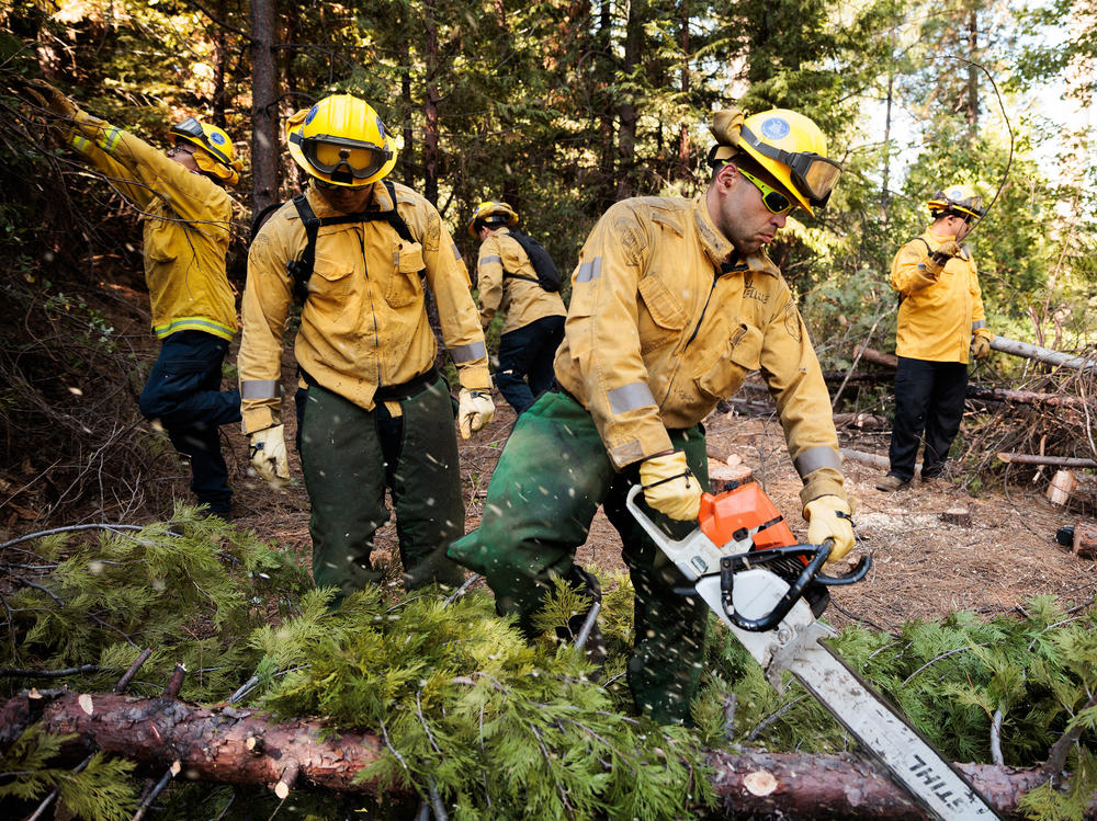 Members of the California National Guard's Task Force Rattlesnake clear brush and small trees to reduce the likelihood of a high-intensity wildfire.