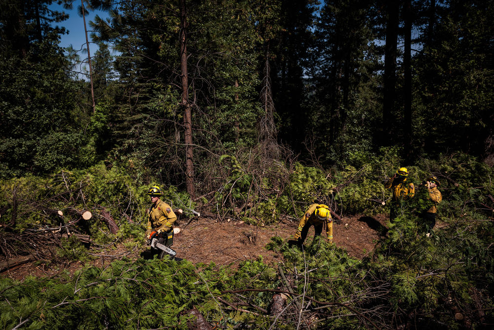 Members of the National Guard's Task Force Rattlesnake clear brush and small trees to create a fireline, to deprive any fast-moving fire of fuel.