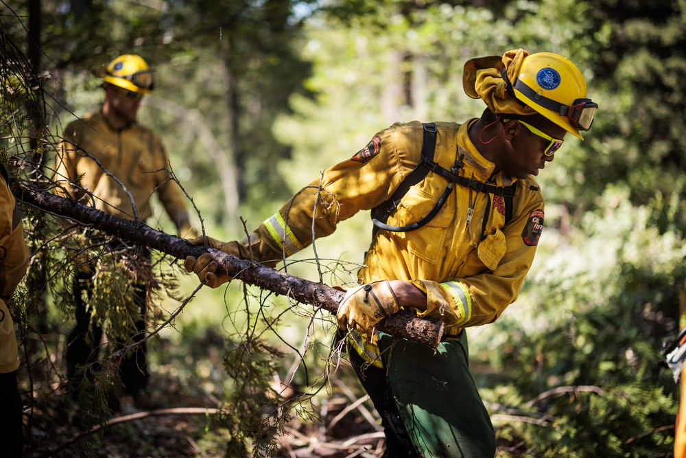 California National Guard Sgt. Jaleel Brown tosses a small tree aside as Task Force Rattlesnake work on fire prevention.