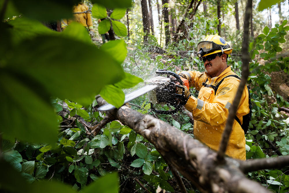 California National Guard Specialist John McMahan working on fire prevention as part of Task Force Rattlesnake.
