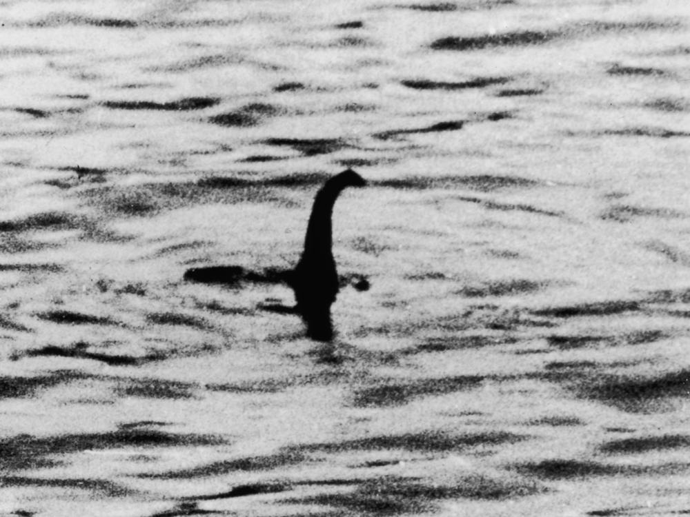 This photo, purported to be of the Loch Ness Monster, was taken near Inverness, Scotland in 1934. One of the participants revealed on his deathbed that the pictures were staged.
