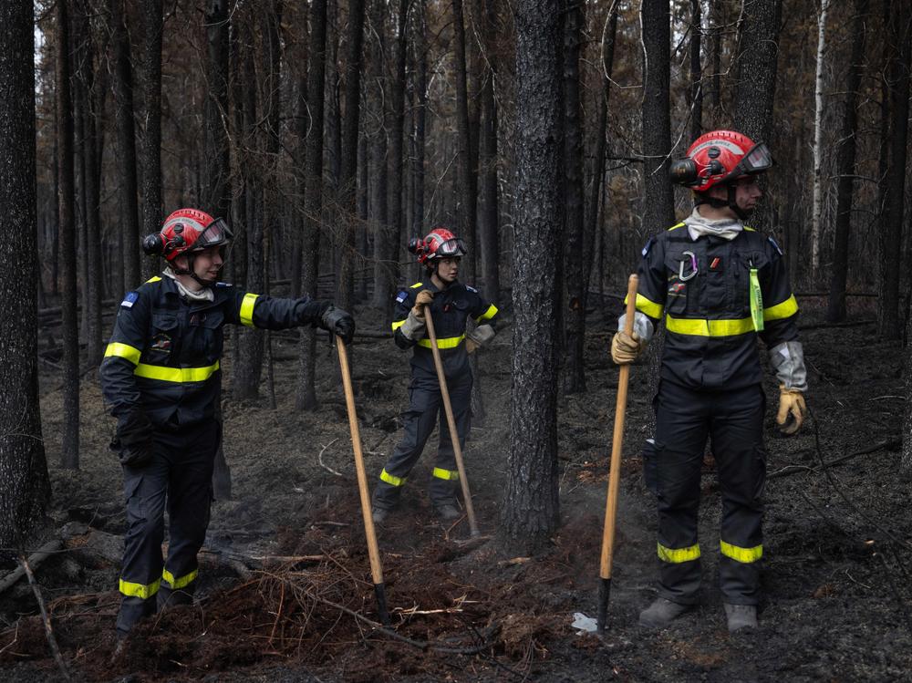 Canada is in the midst of an unprecedented wildfire season, intensified by climate change. Firefighters came from all over the world to help, like this team from France, on the fire line north of Chibugamau, Quebec, in June.