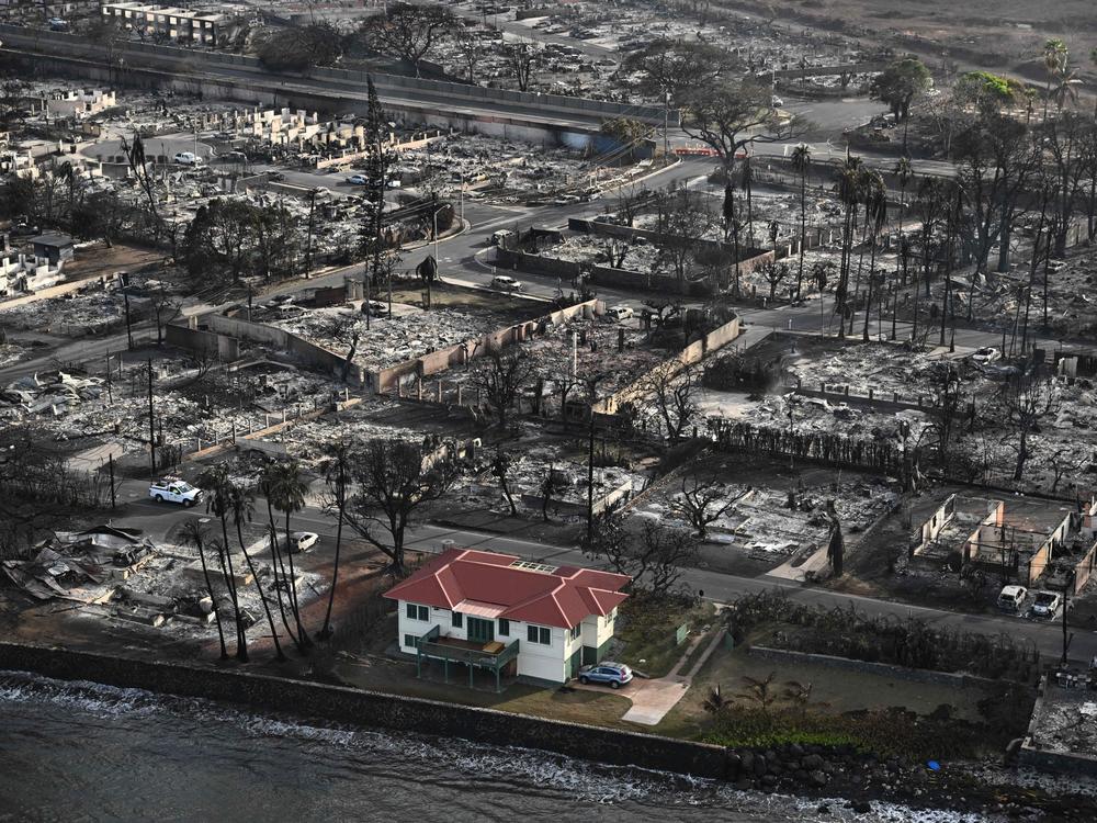 The fire that devastated historic Lahaina in western Maui left a red-roofed house relatively unscathed. Its owner says he wants to open the house to the neighborhood to help the rebuilding process.