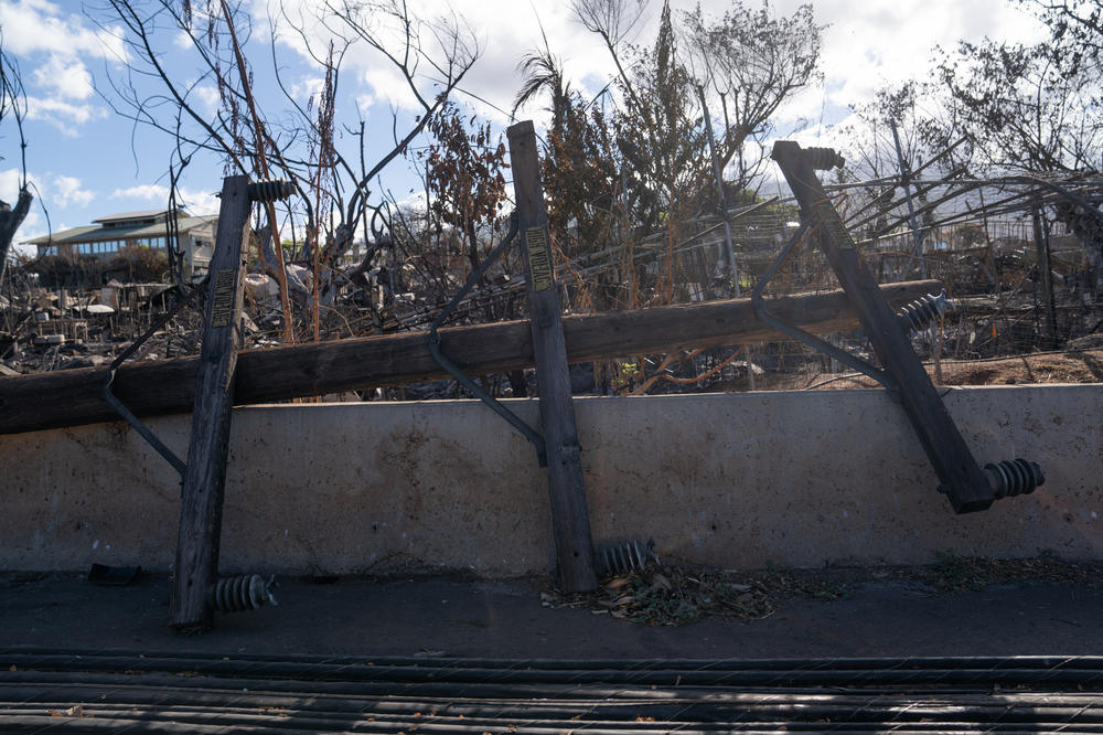 Electrical wires and telephone poles are downed after the wildfires in Lahaina, Hawaii. The exact cause of the fires in Maui is being investigated by federal officials.