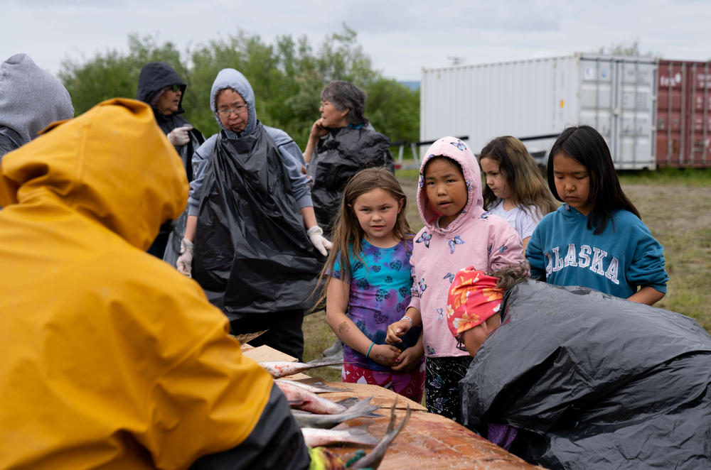 Students from the Yupiit School District learn how to prepare freshly caught salmon.