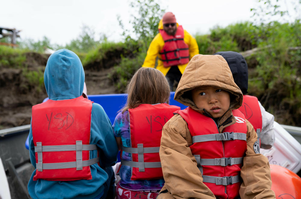 While the first drift only yields two fish, the second brings in around a dozen: a mixture of reds, kings, and chums. The students scream in delight as the squirming salmon are picked from the net, landing with a thud in a plastic tote.