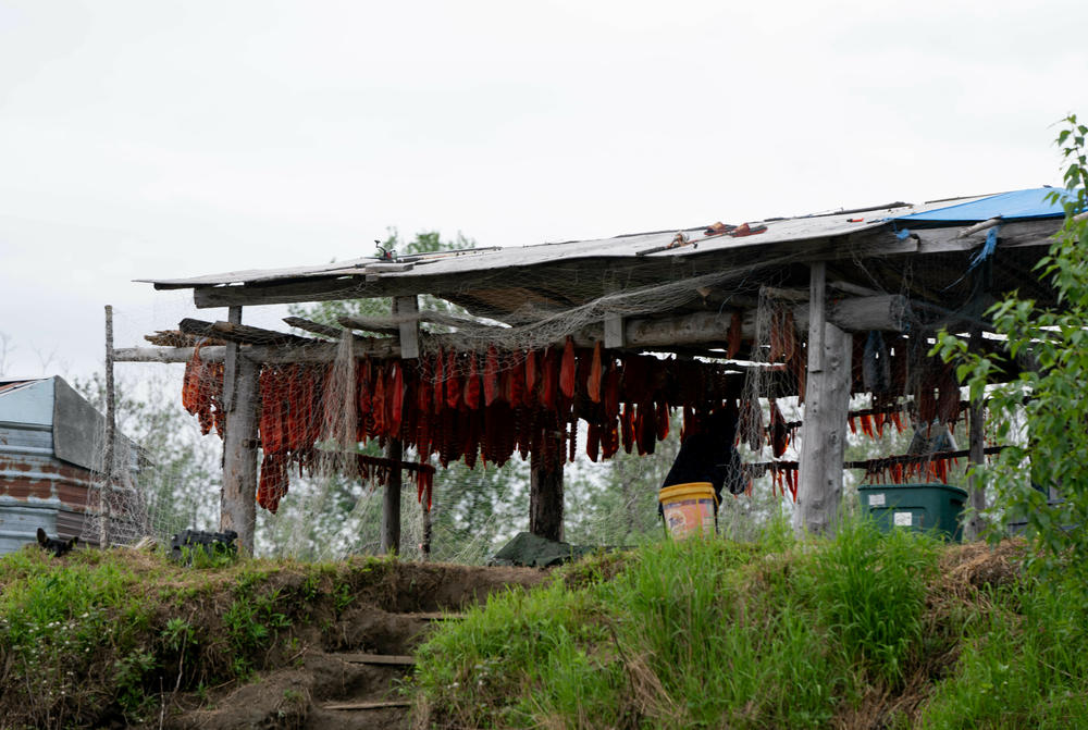 A fish camp near Akiachak, Alaska.