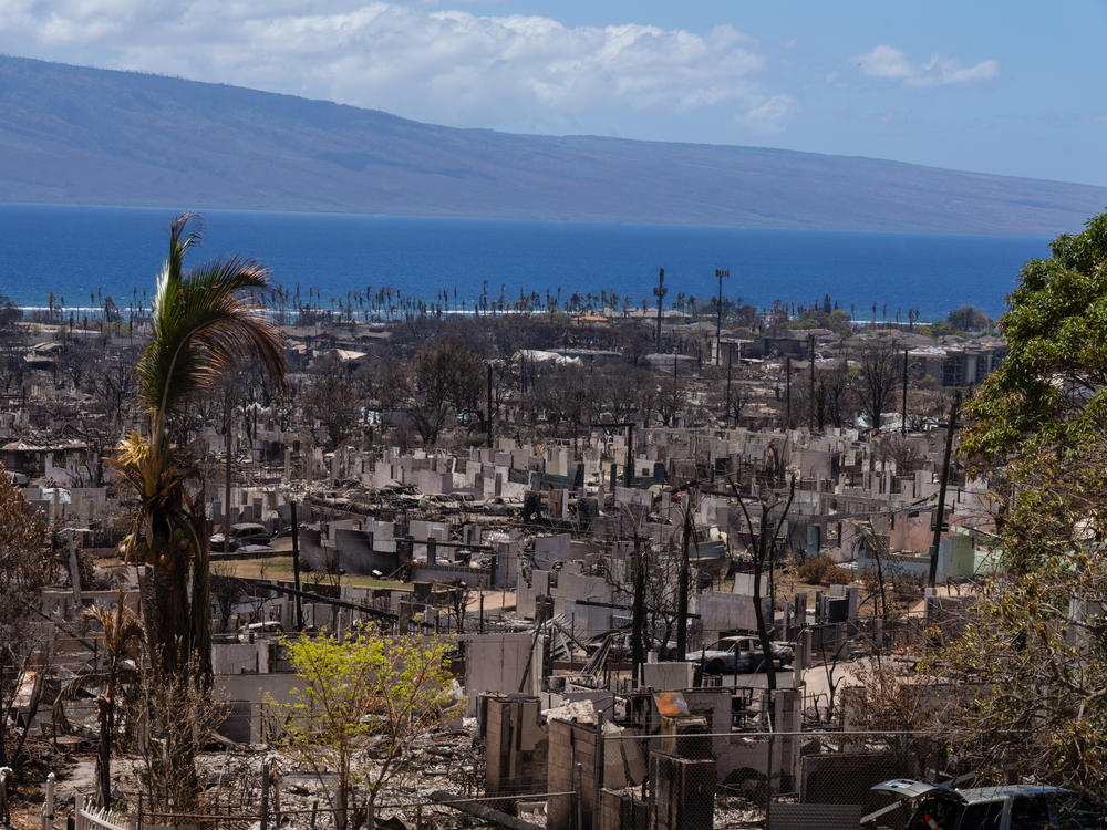 The extreme wildfire that hit Lahaina burned all the way to the coast. As the cleanup continues, rainstorms could wash toxic runoff into the ocean.