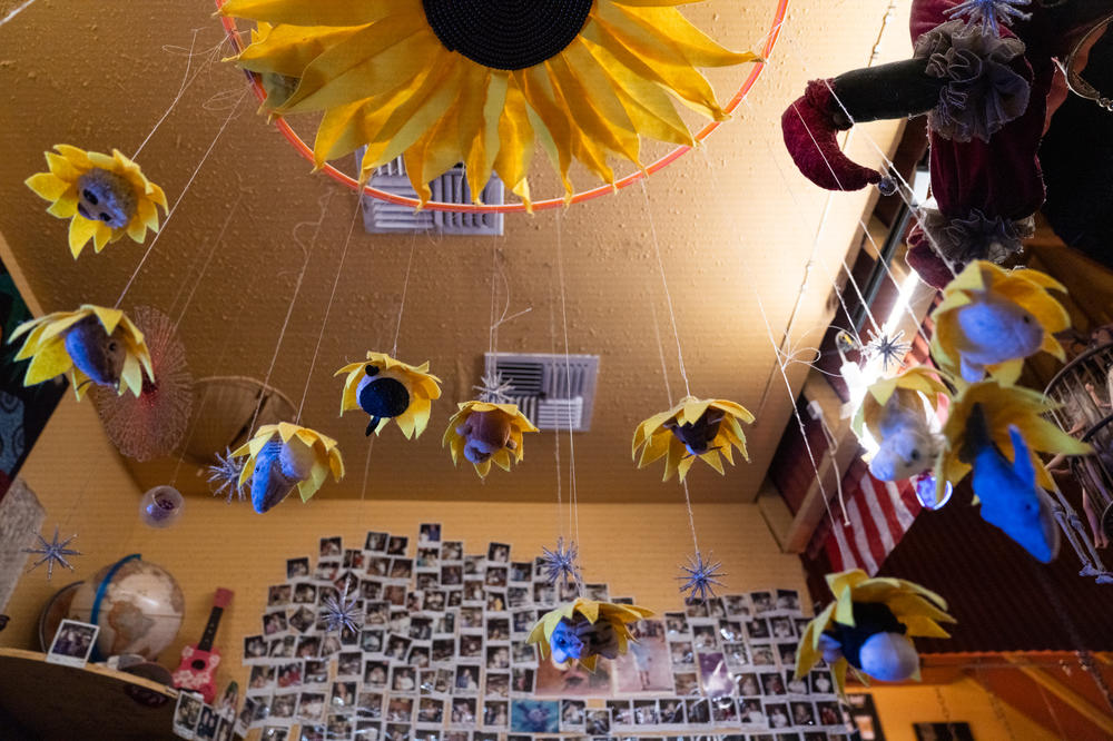 There aren't many bare spots on the walls at Java Jazz. Many first-time visitors can't find the bathrooms, whose doors are plastered with Polaroids.