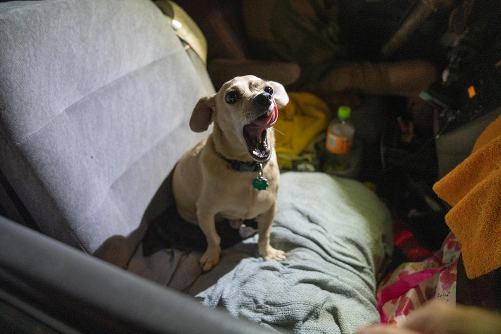 Glencross' dog Blue is his companion while he sleeps in his van after losing his home to the fire.