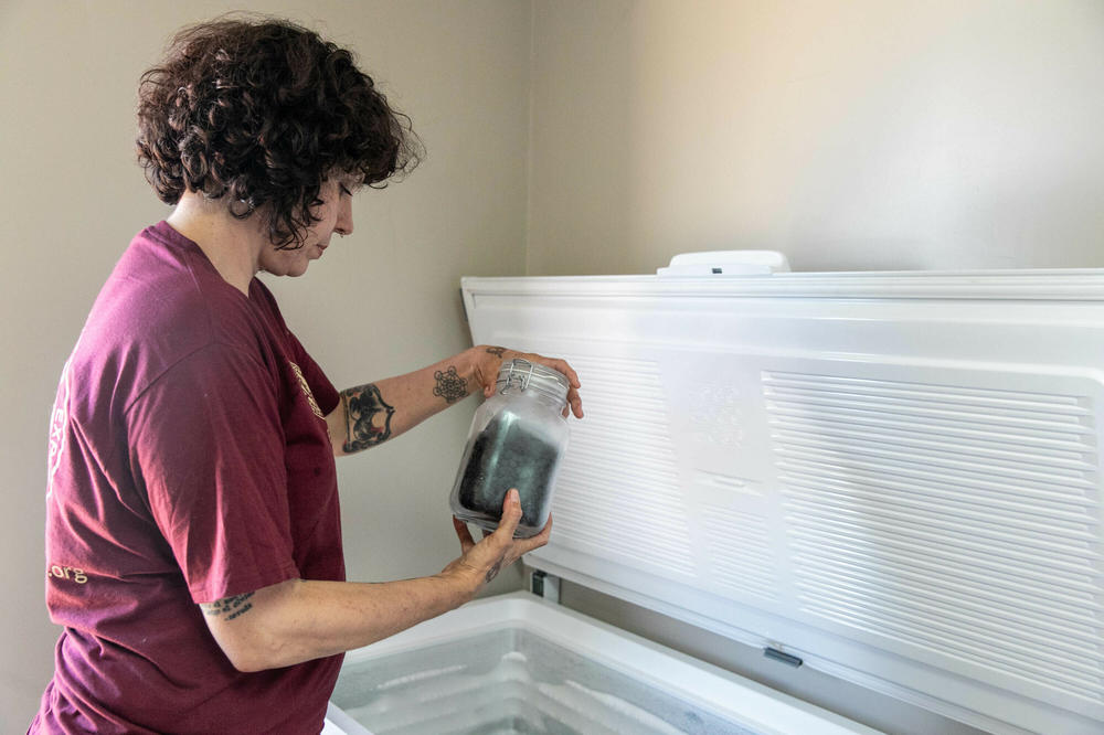 Sanchez stands next to a chest freezer holding a jar of Joshua tree seeds that were harvested prior to the York Fire. The freezer is already half full of jars brimming with roughly 300,000 Joshua tree seeds.