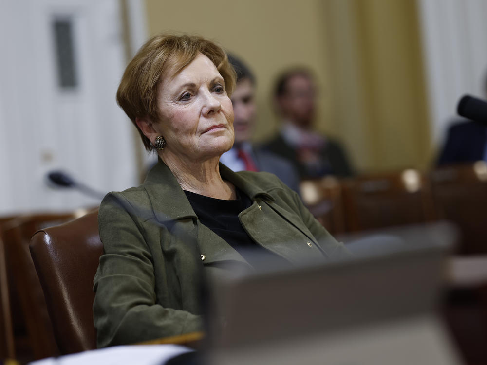Rep. Kay Granger, Republican of Texas, chairs the powerful House Appropriations committee.