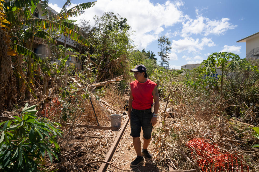 Andres walks near the garden that he grows outside of his home. Without water at the house many of the plants have dried up.