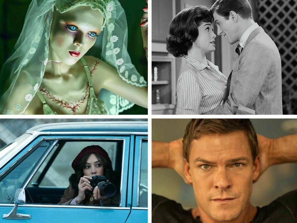 Clockwise from top left: <em>American Horror Stories</em>,<em> The Dick Van Dyke Show</em>,<em> The Changeling</em>,<em> The Mothers-in-Law, Reacher</em>,<em> The Continental: From the World of John Wick</em>.